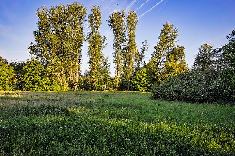 Borner See (100 von 109)