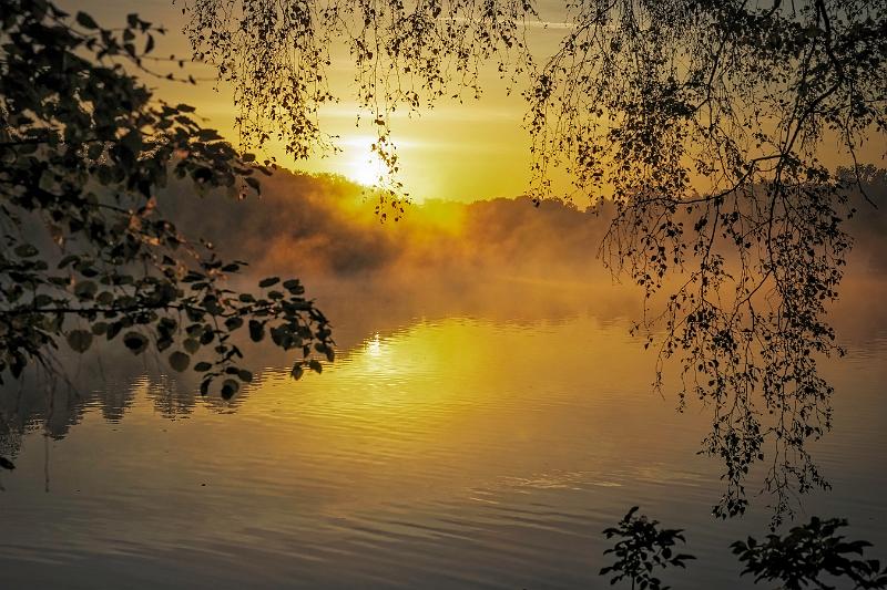 Borner See (27 von 109)