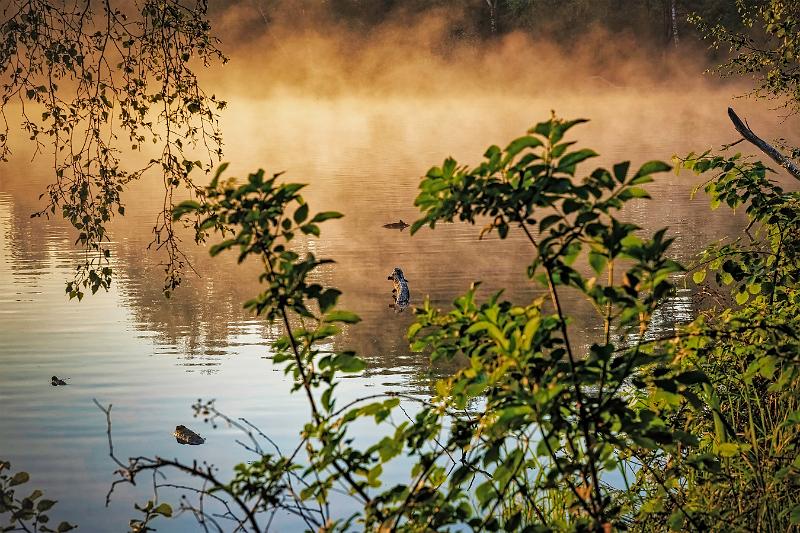 Borner See (32 von 109)