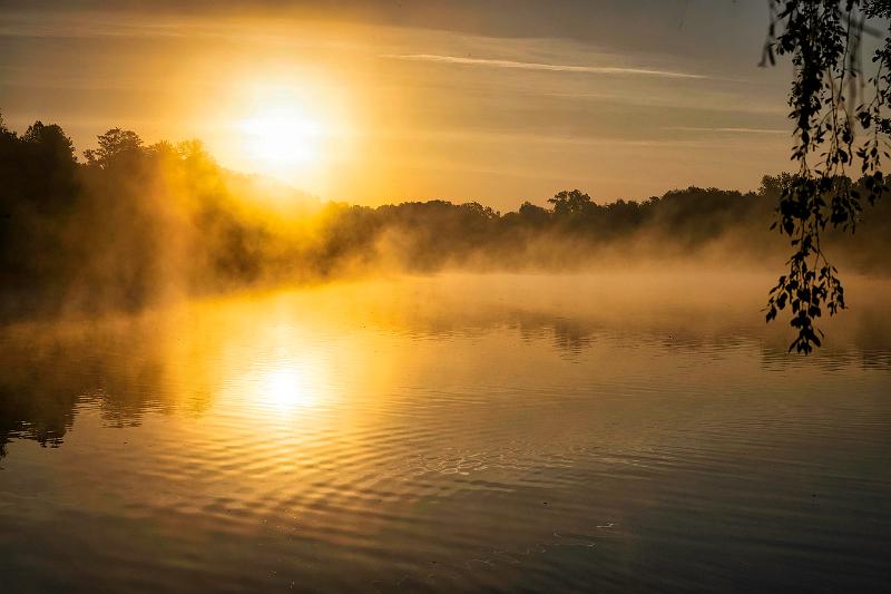 Borner See (43 von 109)