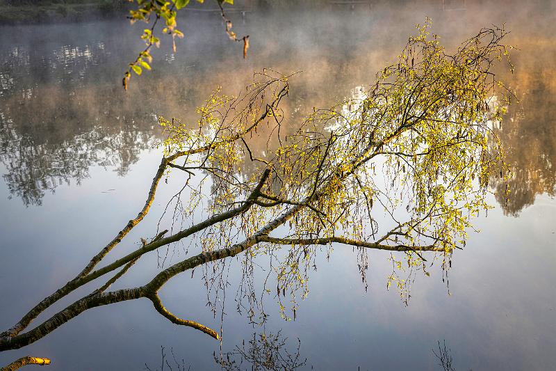 Borner See (46 von 109)