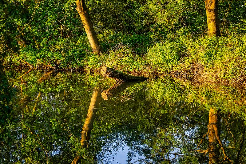 Borner See (69 von 109)