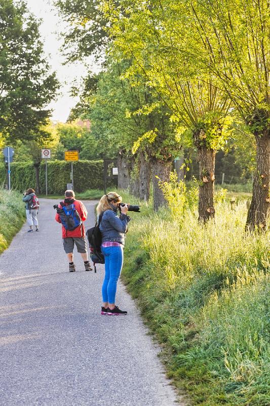 Borner See (72 von 109)