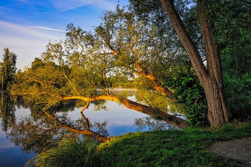 Borner See (83 von 109)