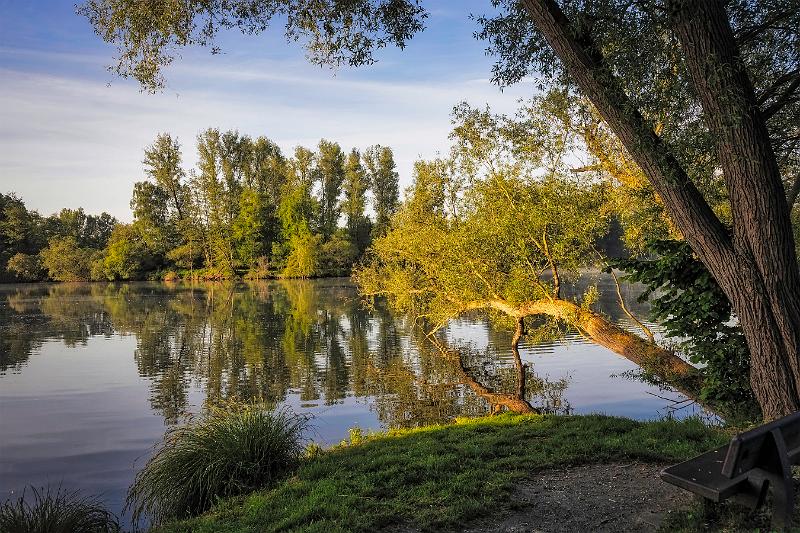 Borner See (84 von 109)