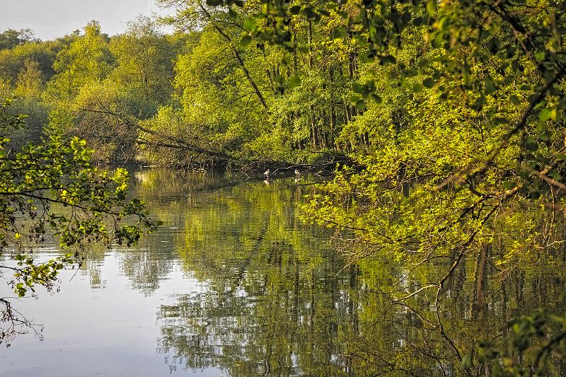 Borner See (92 von 109)