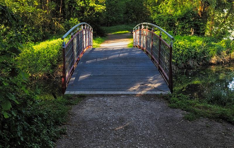 Borner See (94 von 109)