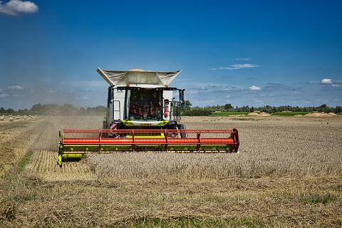 Getreideernte 01