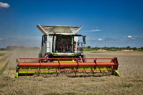 Getreideernte 02