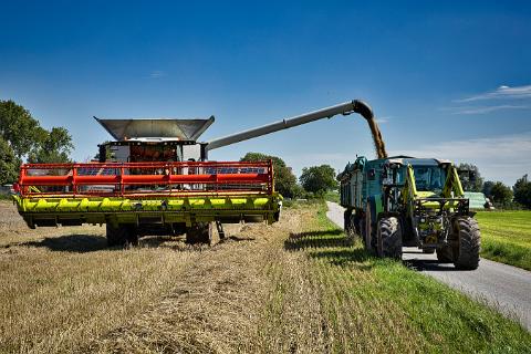 Getreideernte 04
