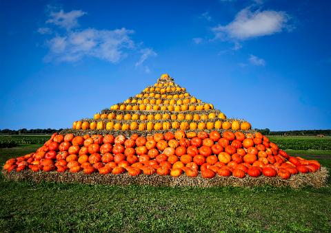 Kürbis 2013 (7 von 9) neu-Bearbeitet Wolken
