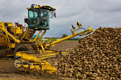 Rübernverladung 01