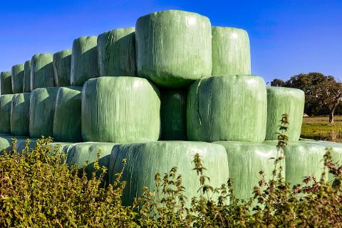 unbenannt (7 von 35)