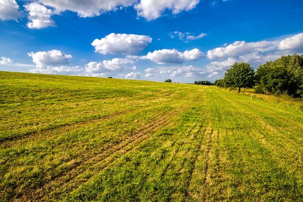 Am Damm Momm 01-Bearbeitet_14