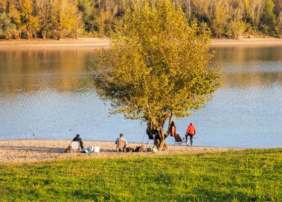 Angler Auskiesung Momm 01_2