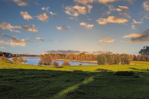 Auskiesung an dern Momm-Bearbeitet-2