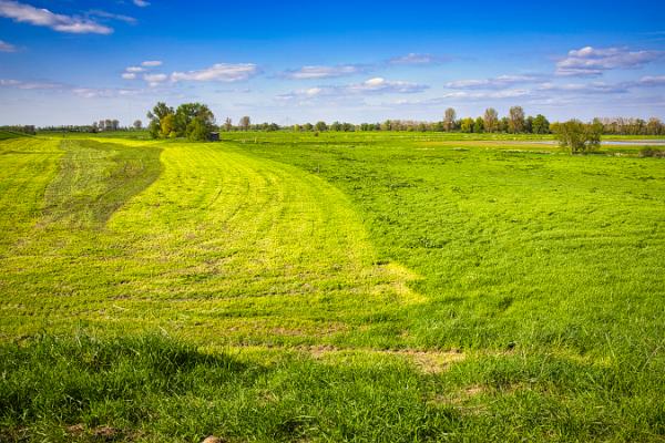 Blick Rheinwiesen Richtung Wesel