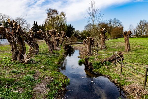 Drüpt Schwarzer Graben 03_1