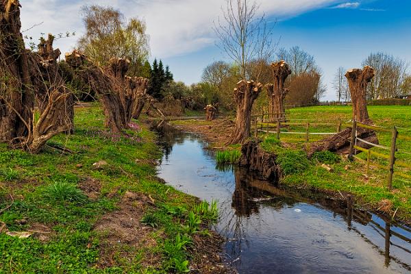 Drüpt Schwarzer Graben_01