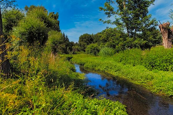 Drüpt Schwarzer Graben_03