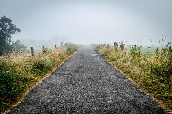 Nebel Juli 2016_01-4-Bearbeitet_22