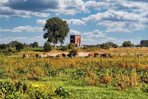 Test-1-Bearbeitet_25