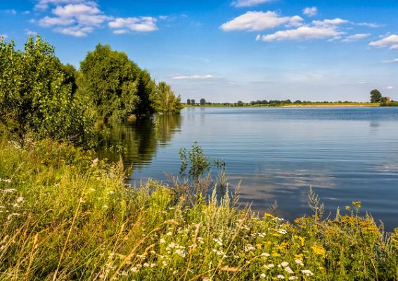 Wallach-Aug 07-am Wasser01_29