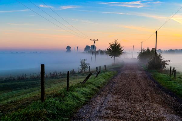 Weg im Nebel 01 2018-10