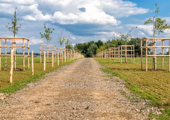 _RS_0471-Bearbeitet_8