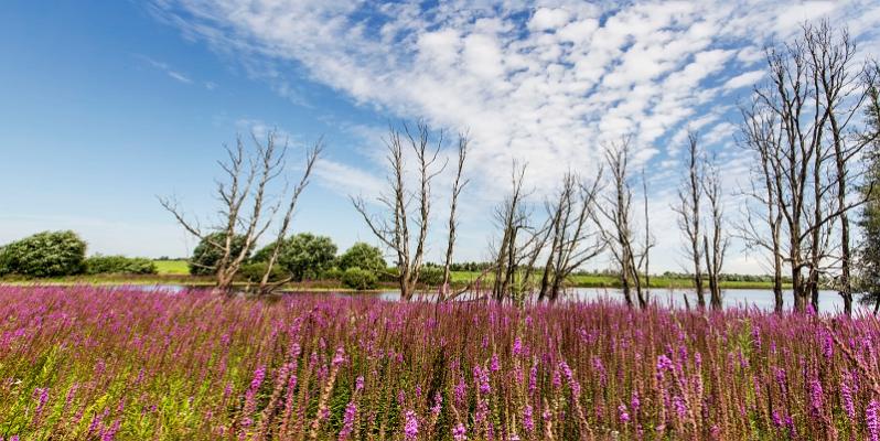 hinter Rheinberg-Orsy