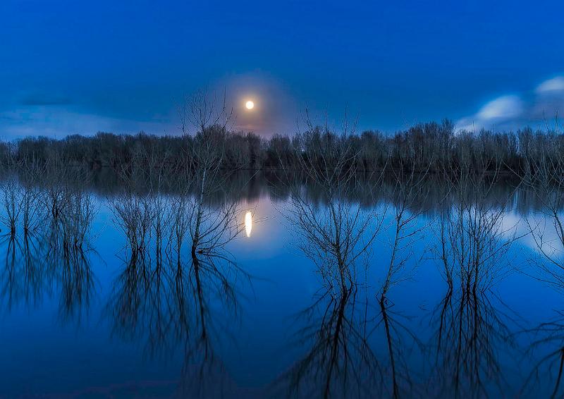 Niederrhein Wallach 01