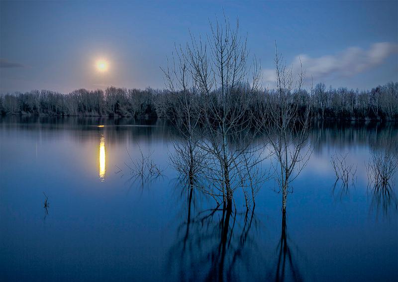 Niederrhein Wallach 02