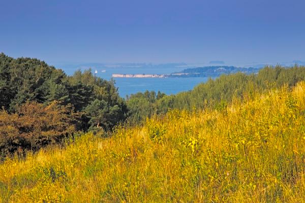 Rügen-MönchGut-08 Kopie