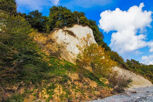 Rügen Kalksteinküste-02 Kopie
