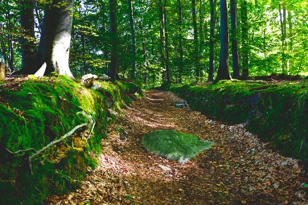 Rügen von Binz nach Sellin Kopie