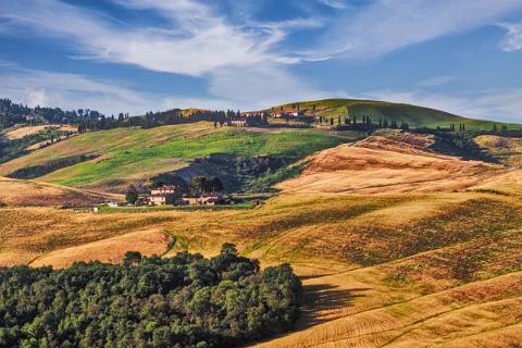 Landschaft Juni 2013-11_19