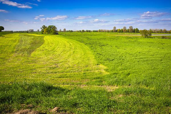 Blick Rheinwiesen Richtung Wesel