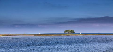 2013 Juni Kappeln_0151-längs