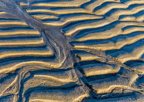 2014 April Sylt  045