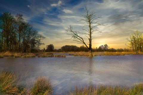 De Wittsee zum abend hin_9