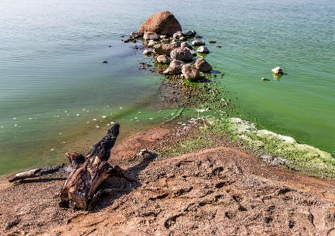 Usedom 09-14_ (32 von 44)