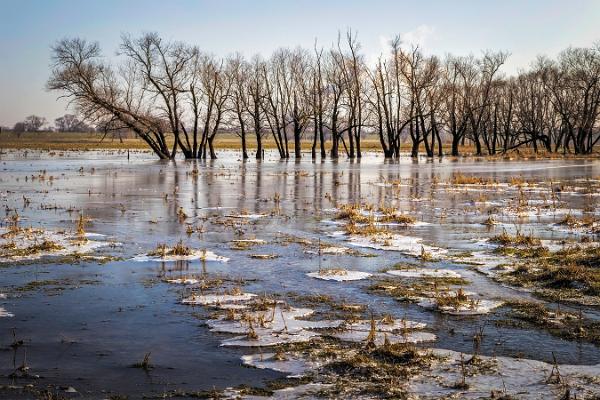 2012-01 Hochwasser 01