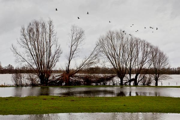 2012-01 Hochwasser 02_2