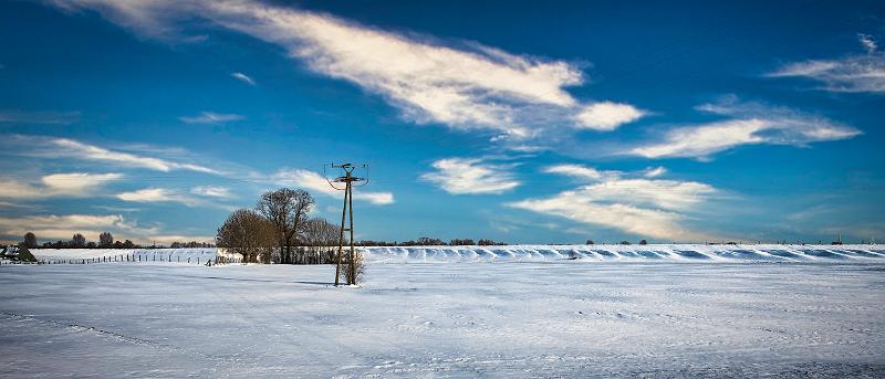 2021-02 Wallach vor dem Deich