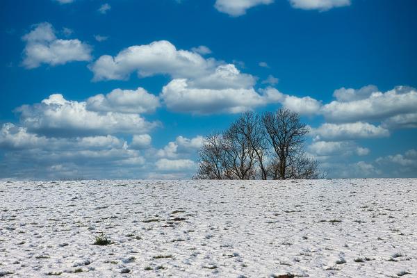 Winter hinterm Deich_18