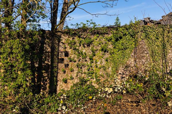 Verfallener Bauerhof  Stallung 06
