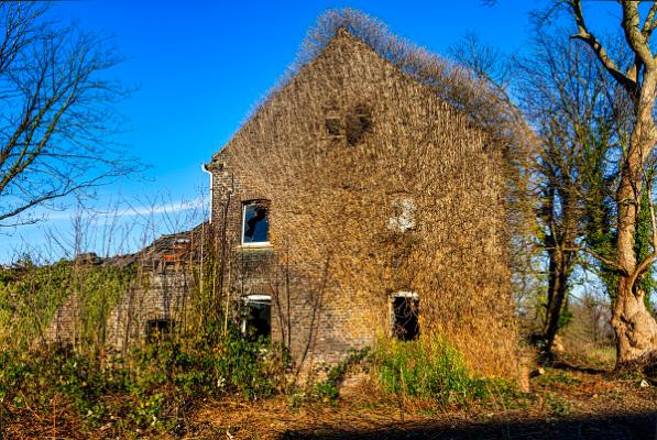 Verfallener Bauerhof im abendlich 05
