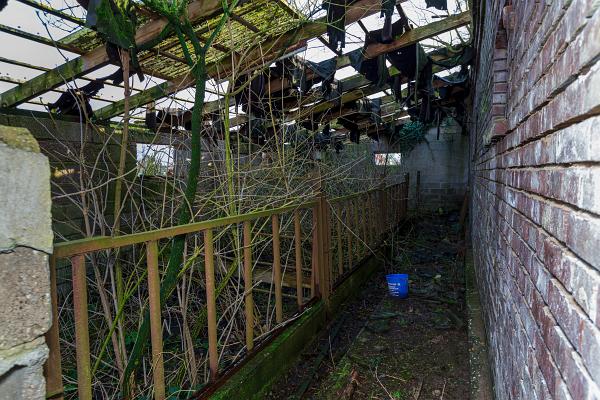 Verfallerner BAuerhof Kuhstall 15