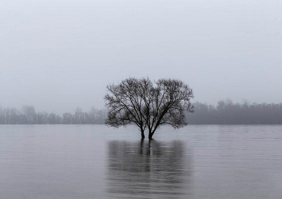 002 Hochwasser+Nebel