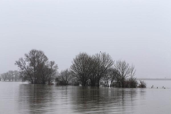 003 Hochwasser+Nebel